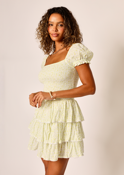 Rosabella Mini Dress